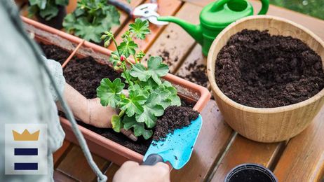 Potting soil vs. garden soil: Which is better?