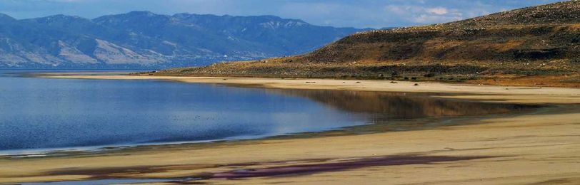 Conductivity, Salinity & Total Dissolved Solids