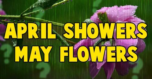 May Flowers Quiz: How Many Broadway Blooms Can You Name?