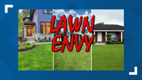 Lush lawns vs Weeds in the yard. Which is better?