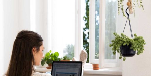 7 Indoor Hanging Plants That Purify the Air and Add So Much Dimension