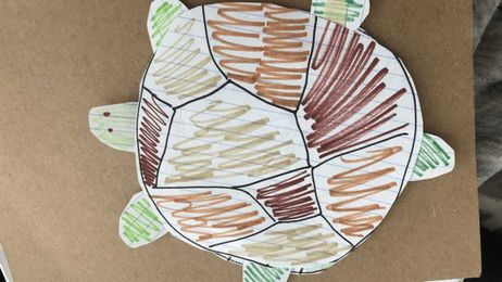 Let's make our own turtle