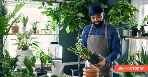 No green thumb? No problem! Target's new line of faux plants will fool everyone
