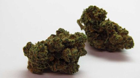 Why Colorado Tokers Love Blue Chem