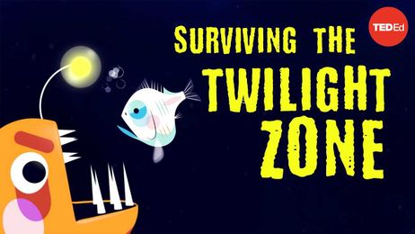 Could you survive the real Twilight Zone?