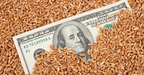 How to make grain marketing decisions in a volatile market