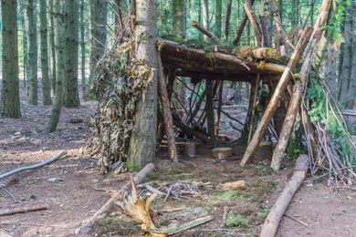 How long could you survive in the wilderness?