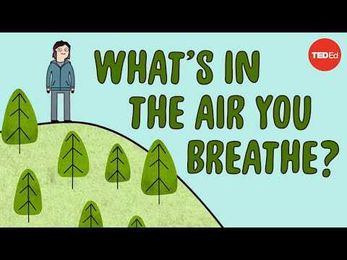 What’s in the Air You Breathe?