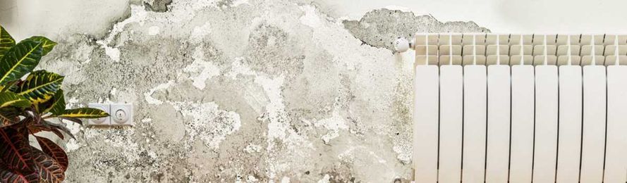 Environmental Health & Safety Services