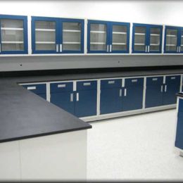 Tall or Short, Laboratory Storage Cabinets Will Keep Your Lab Organized