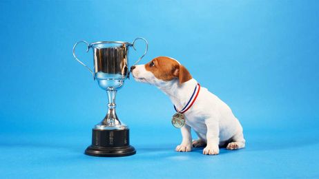 Why Employees Need Both Recognition and Appreciation