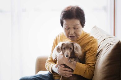 Study: Emotional Support Animals Help Those Who Need Them