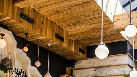 The Restaurants Inspiring Us to Put Houseplants Everywhere