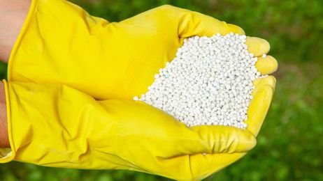 Tips to Keep Your Crew Members Safe While Using Lawn Care Chemicals