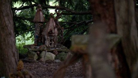 Explore the tiny, whimsical fairy forest at Yew Dell Botanical Gardens