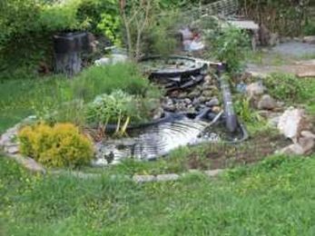 Keeping Your Pond in Good Condition This Summer
