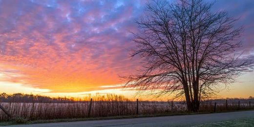 Episode 4: Financial services for the most at-risk