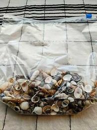 Bag Of Seashells Crafting Pieces Craft Shells Sea Shells Craft Supplies Used