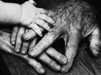 What role might red blood cells play in aging?