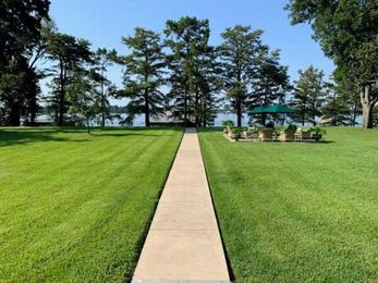 Your Lawn Questions Answered