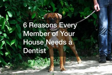 6 Reasons Every Member of Your House Needs a Dentist