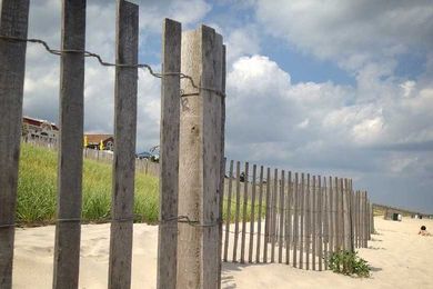 Love the Jersey Shore? Help Protect It This Summer