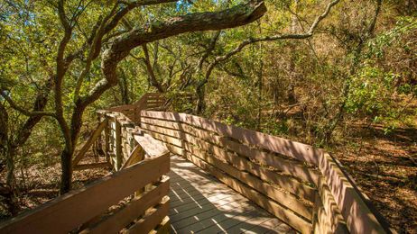 Hidden Gems Only Southerners Know About