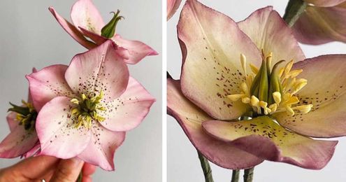 Talented Pastry Chef Creates Sugar Flowers That Look Just Like Real Blooms