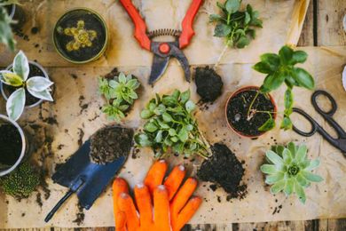 All of the Basic Tools You Should Keep in Your Garden