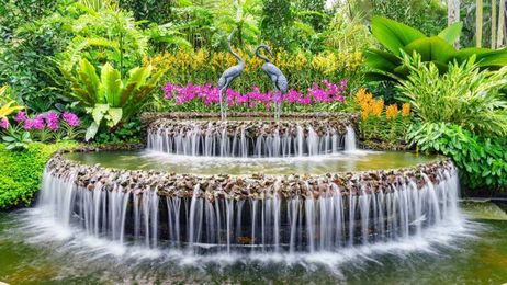 Botanical Gardens-Inspired Decor Tips to Turn Your Home Into an Oasis