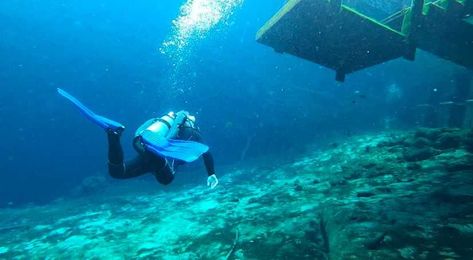 Florida on a Tankful: Dive into the depths at Blue Grotto 