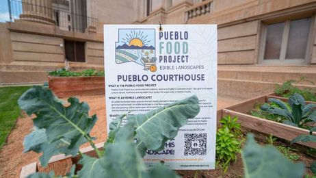 Growing out to eat: Free, edible landscape gardens sprout up around Pueblo