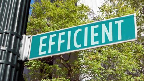 The Capital Efficient Tardigrade