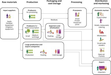 Why the colour of your fruit and vegetables matter
