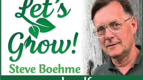 Let's Grow: How to comparison shop for trees