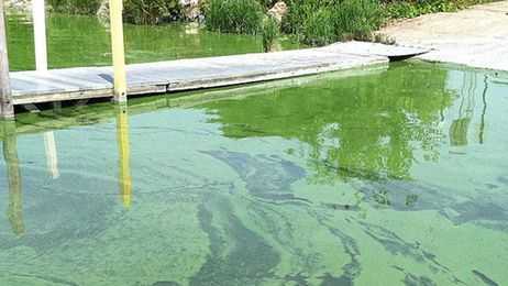 Researchers study how algal bloom toxins may harm Great Lakes air