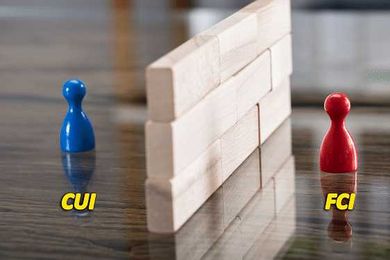 CUI and FCI: Should You Keep Them Separate for CMMC Level 3 Compliance?