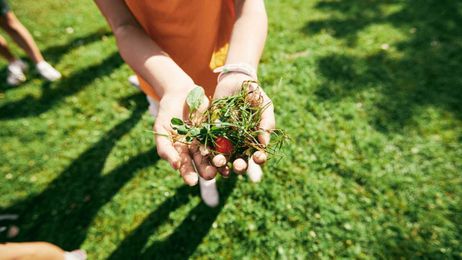 Loose Parts: Inspiring child-led play