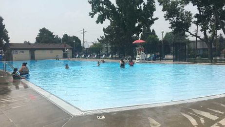 What germs are lurking in your pool? 