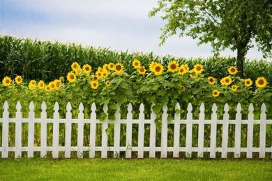 15 Tips and Ideas to Help You Create Decorative Garden Fences