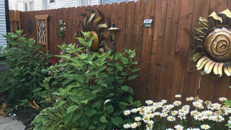 Gardens galore: It's been a summer of walks and tours with more to see