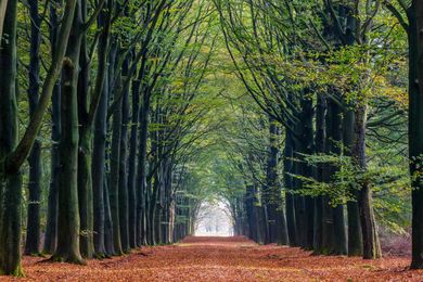 Why financial planning is the unlikely dream job