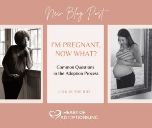 I’m Pregnant, Now What? Common Questions in the Adoption Process.
