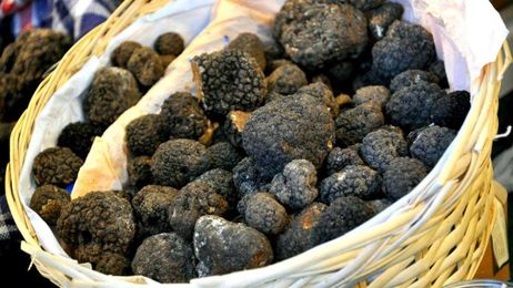 Diane De Filipi, Italian Lessons: Potatoes and truffles: what's not to like?