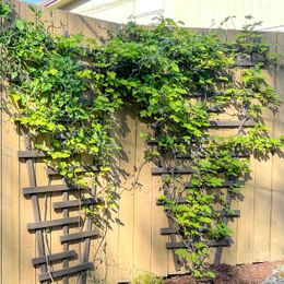 DIY Trellis with Plans