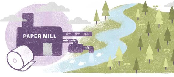 Myth: Paper production consumes an excessive amount of water