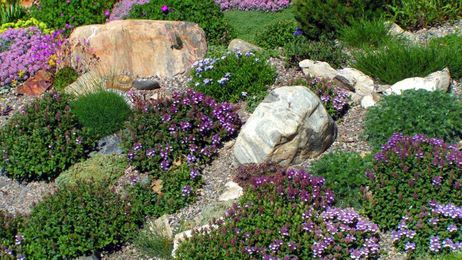 How to Create a Rock Garden (and Why It'll Cut Down on Yard Work)