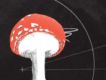 Do funding sources influence nutrition research?