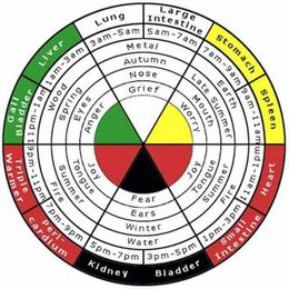 Discover the 24-Hour Qi Clock in Chinese Medicine
