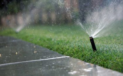 Here are the rules Pasadena has set to limit lawn watering, conserve water